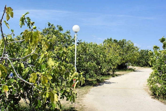 zobacz camping - zdjęcie 7