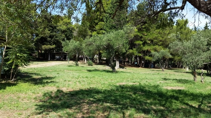 zobacz camping - zdjęcie 13