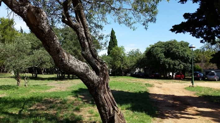 zobacz camping - zdjęcie 12