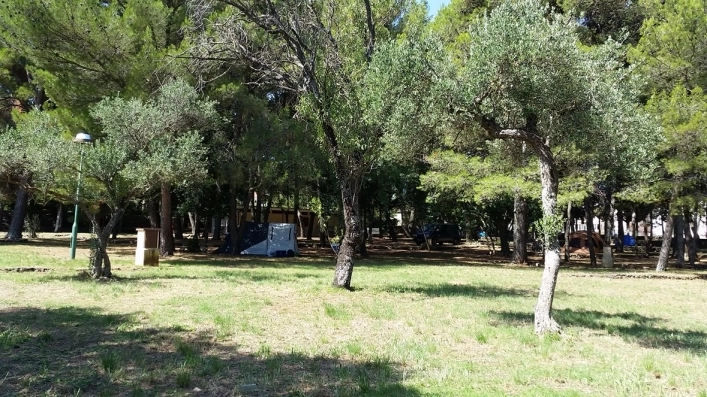 zobacz camping - zdjęcie 11