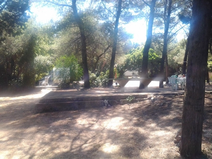 zobacz camping - zdjęcie 8