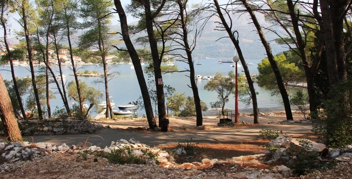 zobacz camping - zdjęcie 6