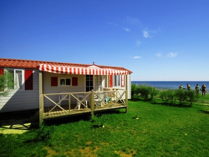 zobacz camping - zdjęcie 18