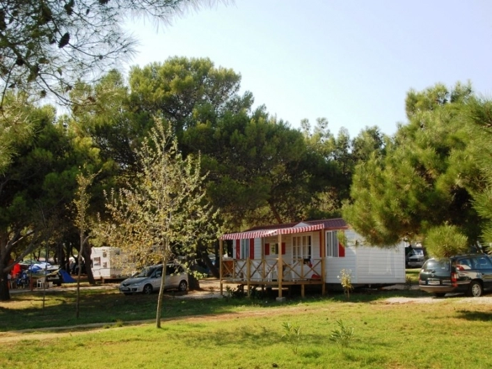 zobacz camping - zdjęcie 16
