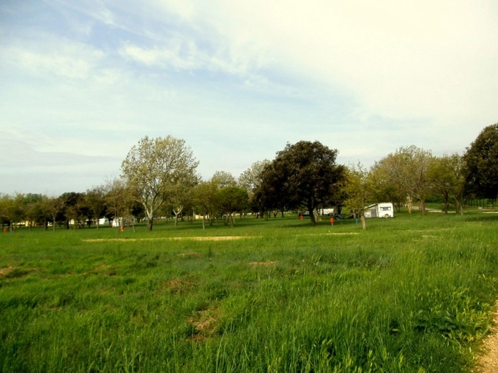 zobacz camping - zdjęcie 7