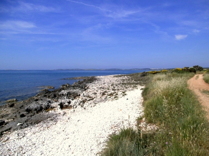 Camping Kazela - zdjęcie 4