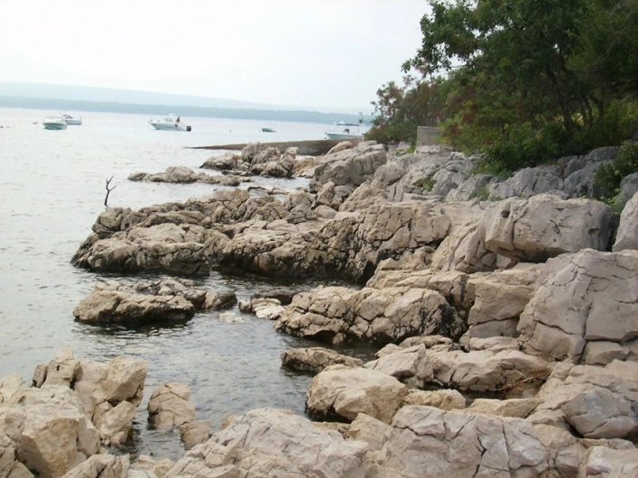 zobacz camping - zdjęcie 10