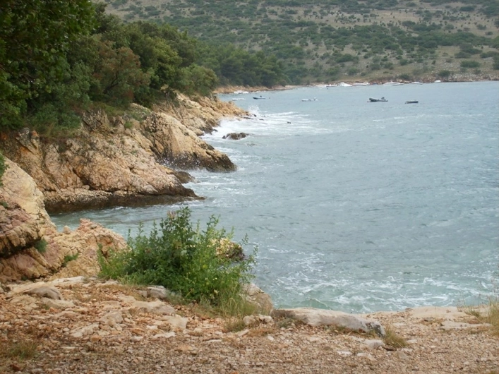 Camping Konobe - zdjęcie 4