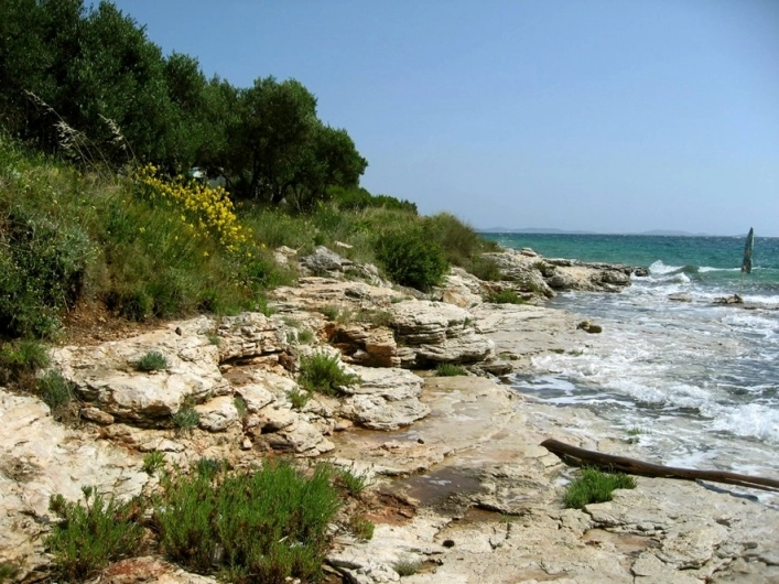 zobacz camping - zdjęcie 6