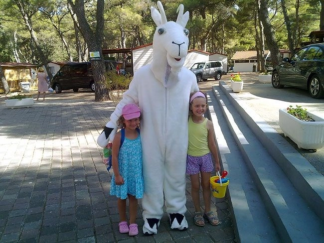 zobacz camping - zdjęcie 8