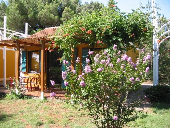 Camping Kranjski - zdjęcie 4