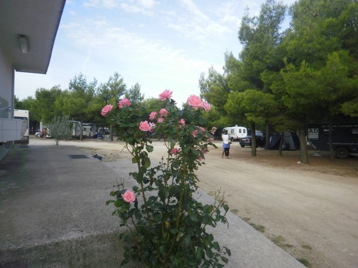 zobacz camping - zdjęcie 14