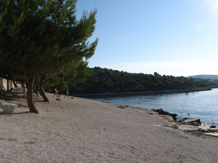 zobacz camping - zdjęcie 29