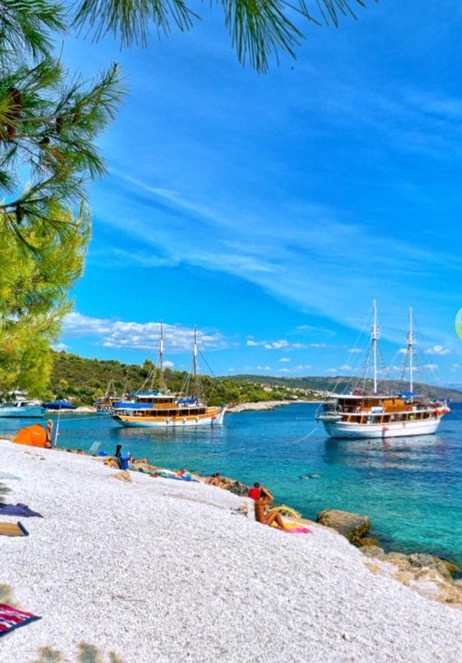 zobacz camping - zdjęcie 19