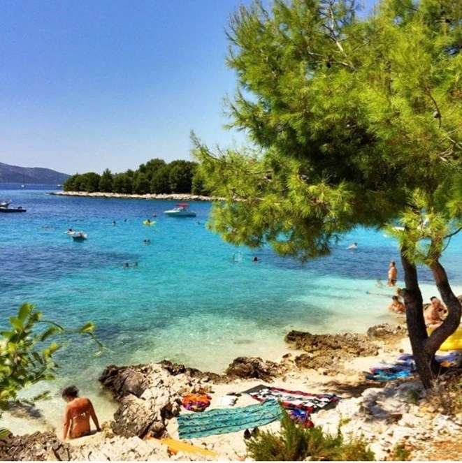 zobacz camping - zdjęcie 9