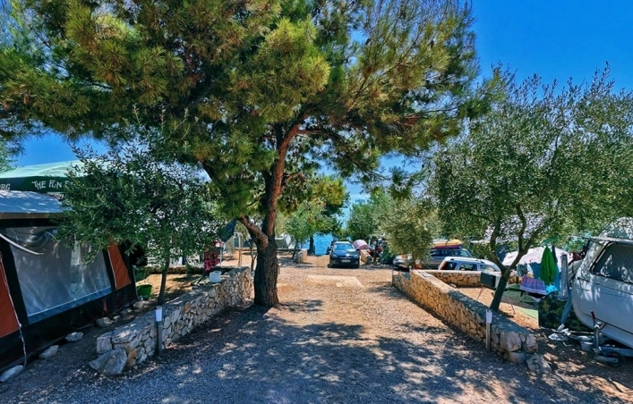 zobacz camping - zdjęcie 6