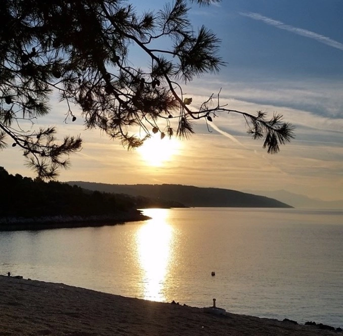 zobacz camping - zdjęcie 1