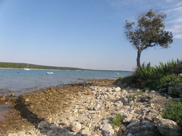 zobacz camping - zdjęcie 23