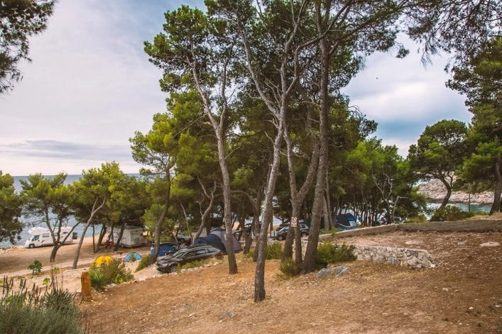 zobacz camping - zdjęcie 24