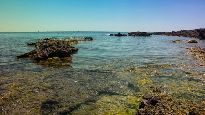 zobacz camping - zdjęcie 22