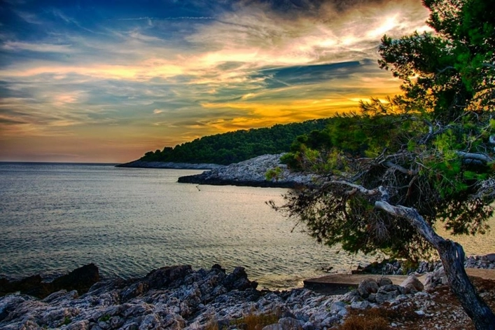 zobacz camping - zdjęcie 16