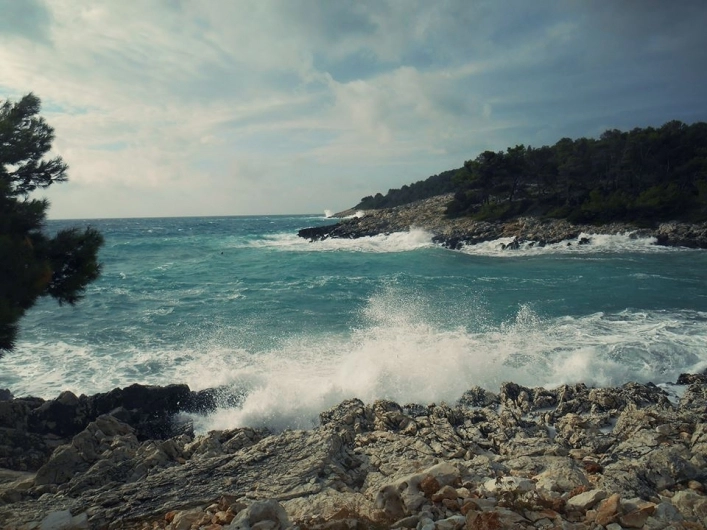 zobacz camping - zdjęcie 14