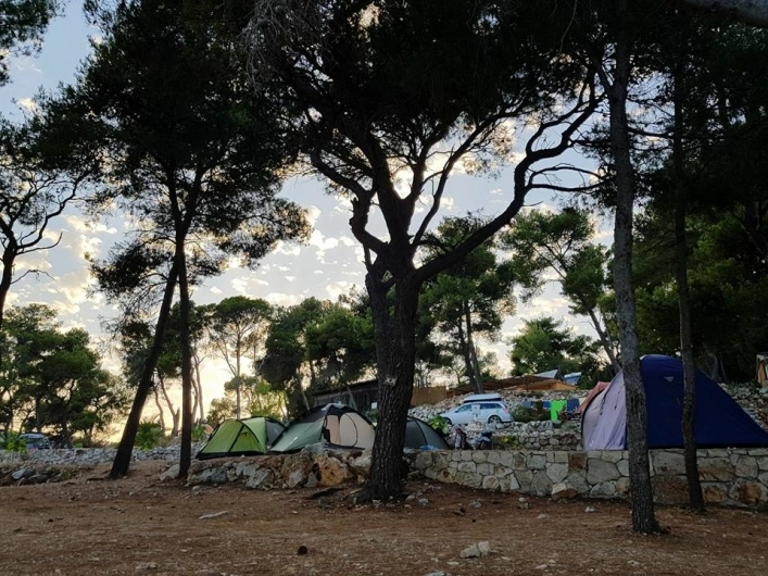 zobacz camping - zdjęcie 3