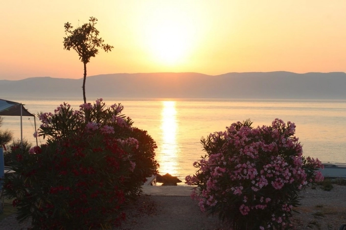 zobacz camping - zdjęcie 22