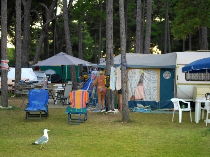 zobacz camping - zdjęcie 24