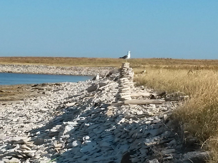 zobacz camping - zdjęcie 18