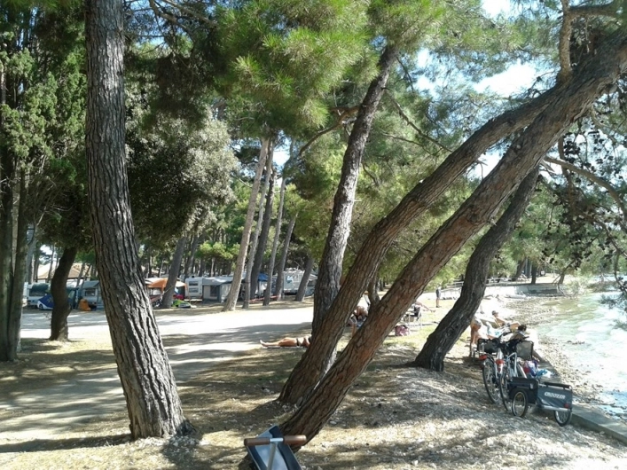 zobacz camping - zdjęcie 10