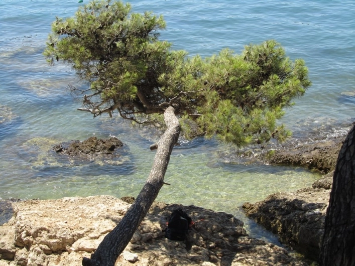 Camping Medulin - zdjęcie 4