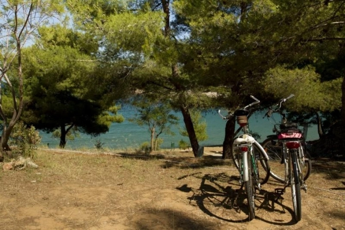 zobacz camping - zdjęcie 22