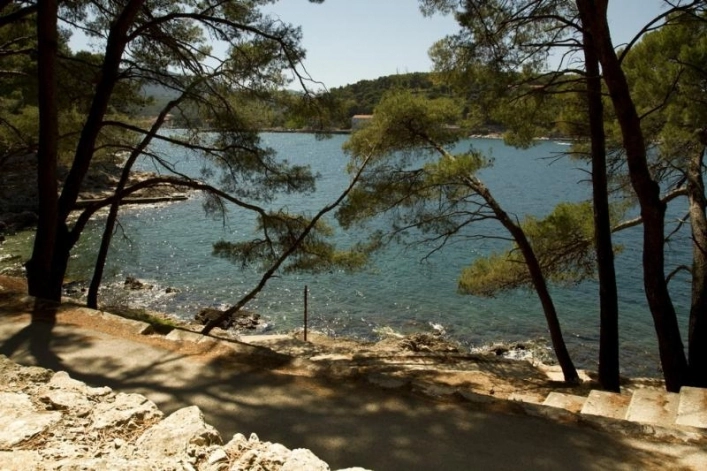 zobacz camping - zdjęcie 10