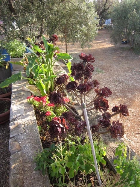 zobacz camping - zdjęcie 8