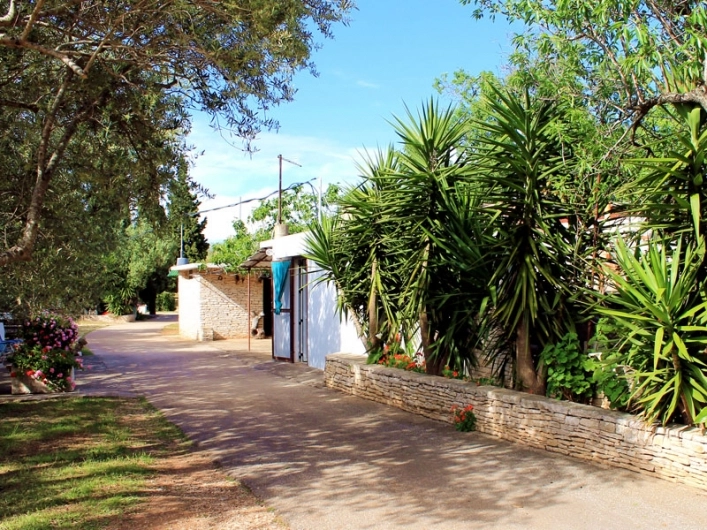 Camping Mindel - zdjęcie 3