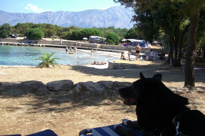 zobacz camping - zdjęcie 17