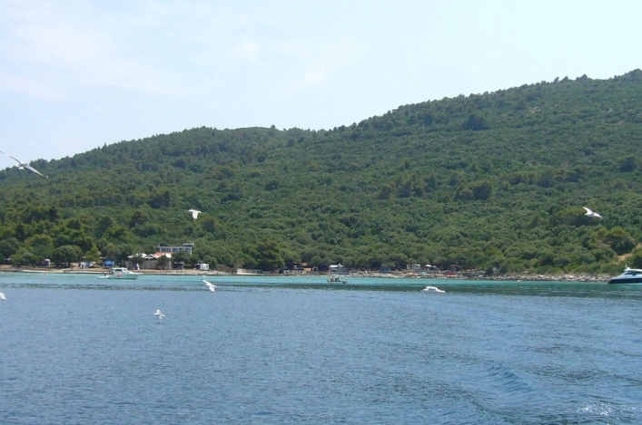 zobacz camping - zdjęcie 8