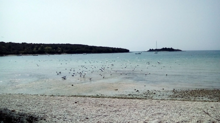 zobacz camping - zdjęcie 35