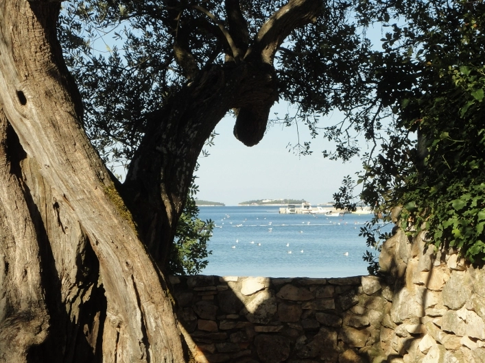 zobacz camping - zdjęcie 33