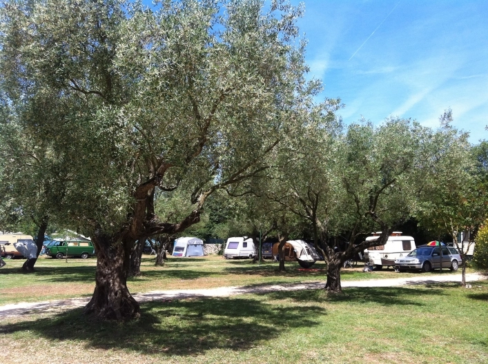 zobacz camping - zdjęcie 28