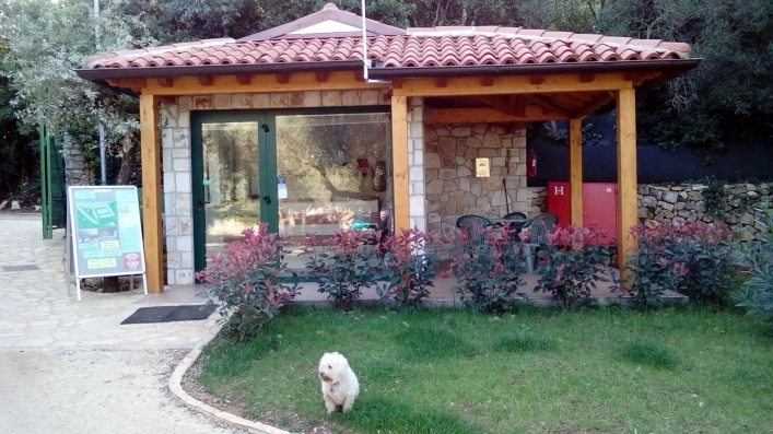 zobacz camping - zdjęcie 15