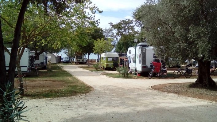 zobacz camping - zdjęcie 13