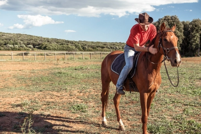 zobacz camping - zdjęcie 25