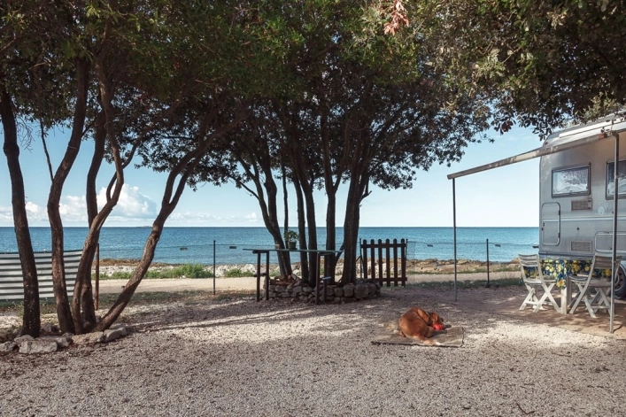 zobacz camping - zdjęcie 14