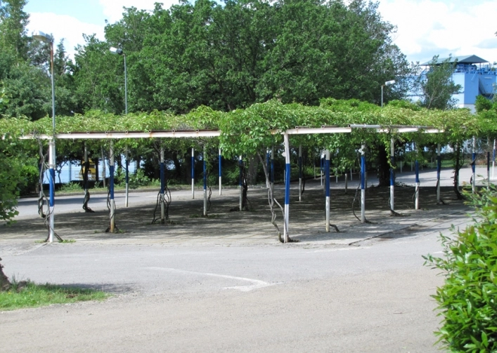 zobacz camping - zdjęcie 8