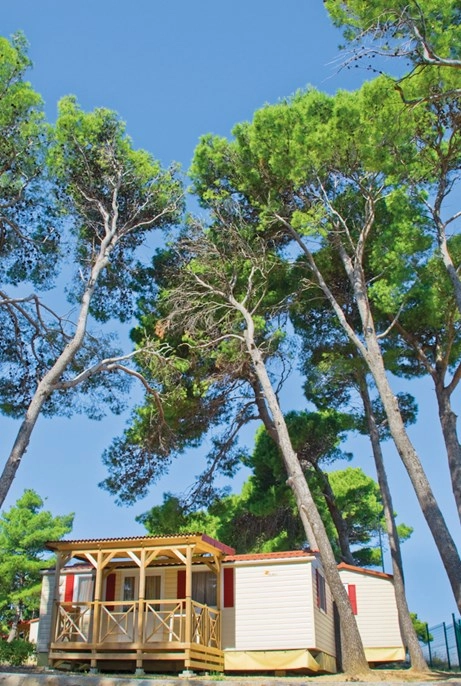 zobacz camping - zdjęcie 21