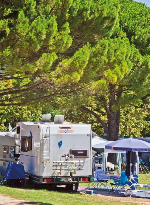 zobacz camping - zdjęcie 3