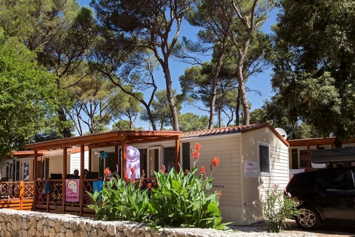 zobacz camping - zdjęcie 13