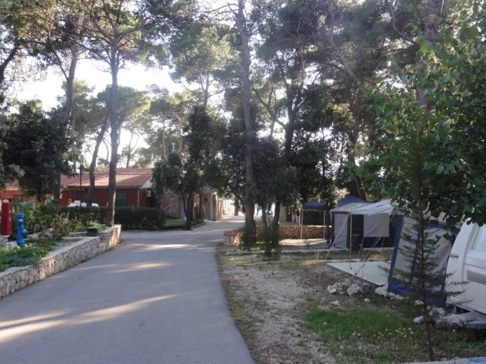 zobacz camping - zdjęcie 4